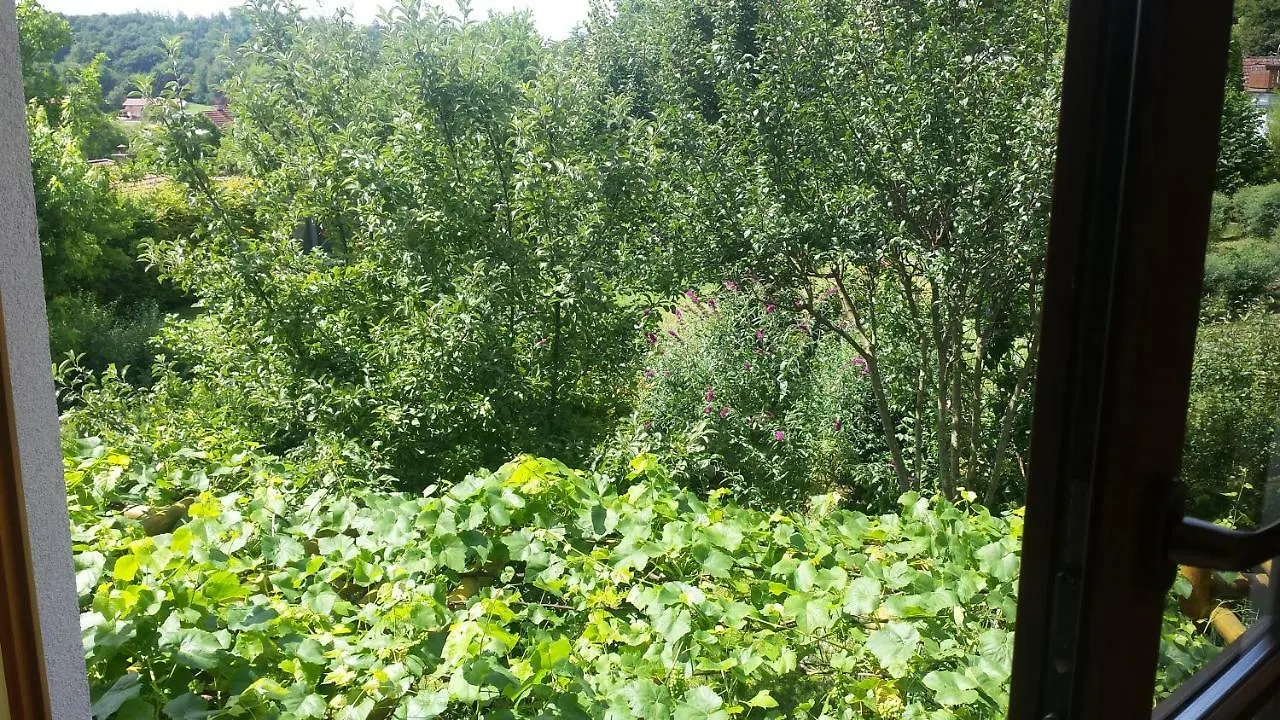 Homestay Gastezimmer Nahe Wesslinger See